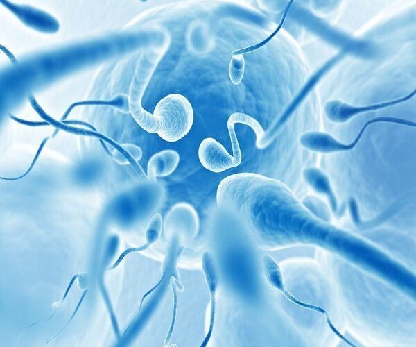 Low Sperm Count treatment in delhi